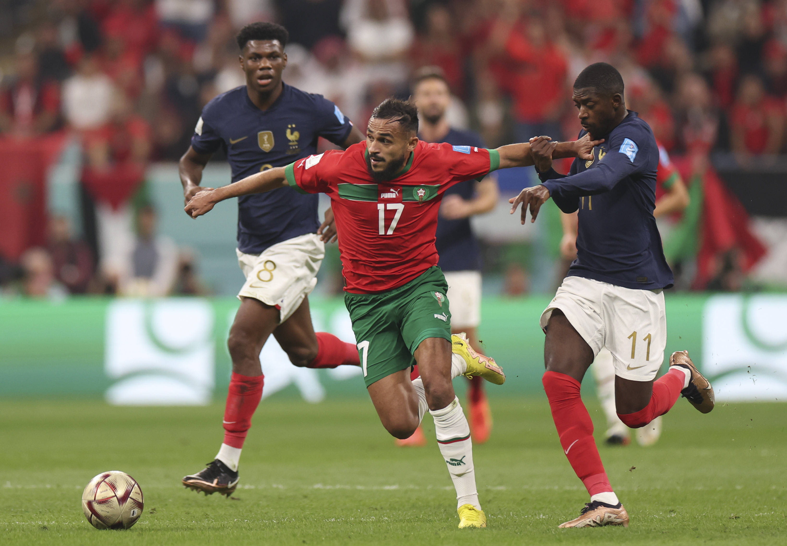 的灵活阵容 的灵活阵容