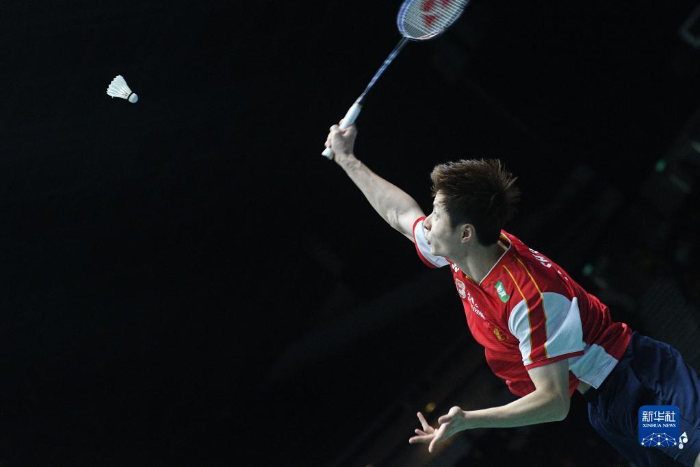 两极反应 两极反应