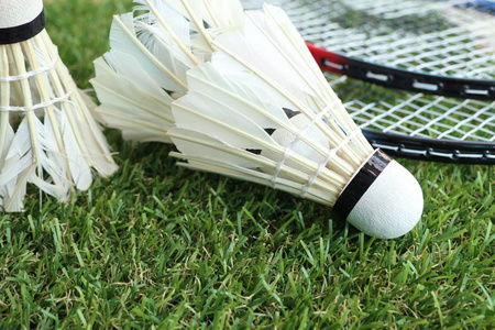 的全流程 的全流程